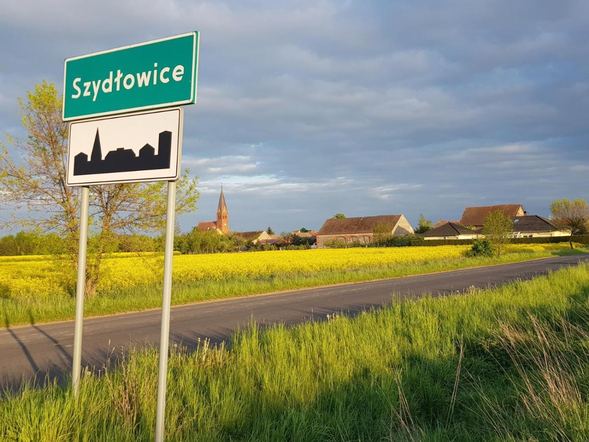 Silence Villa Szydlowice Bagian luar foto