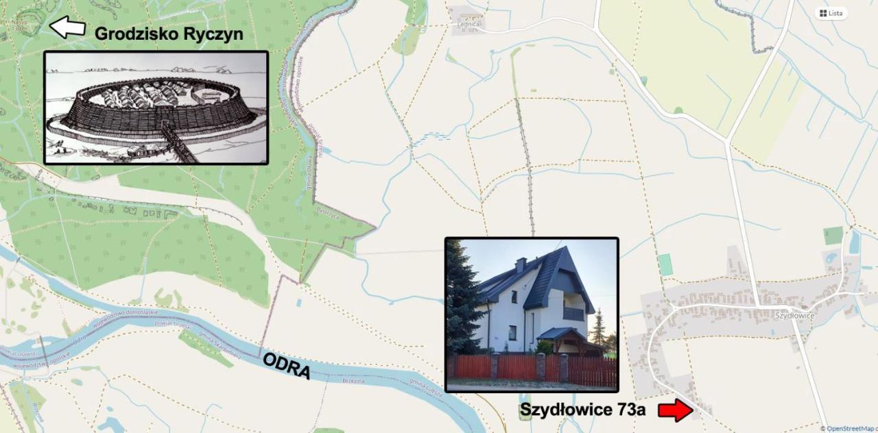 Silence Villa Szydlowice Bagian luar foto